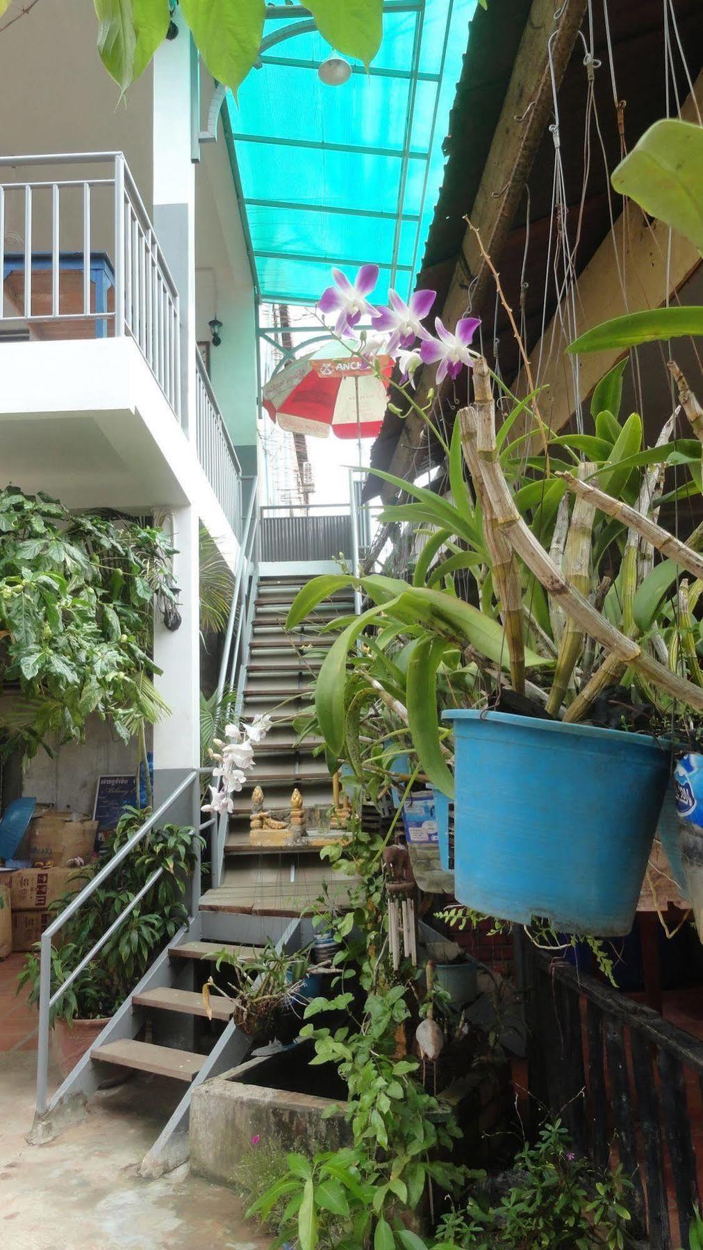 Green Park Village Guesthouse Siem Reap Exterior foto